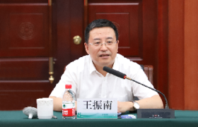 电力工程技术专家王振南：引领智能电网时代的革新者